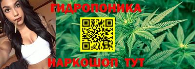 экстази Аргун