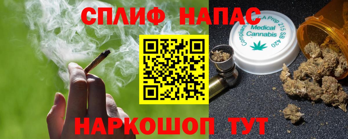 Каннабис сатива Чусовой